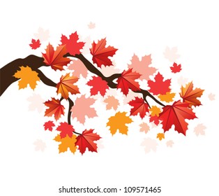 Maple tree with orange and red leaves