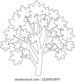 A maple tree outline, perfect for coloring books. ideal for various uses, from nature-inspired graphic design projects. Tree line art, maple tree line art, tree coloring page,  botanical line drawing.