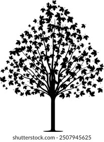 maple tree silhouette with intricate branches and detailed leaf shapes. Ideal for seasonal designs, branding, decor, and more.