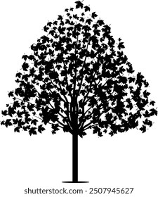 maple tree silhouette with intricate branches and detailed leaf shapes. Ideal for seasonal designs, branding, decor, and more.