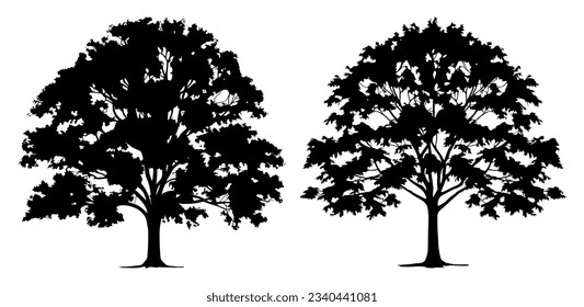 maple tree silhouette set illustration