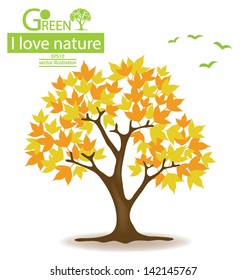maple. tree vector illustration.