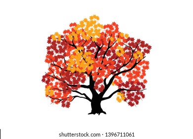 maple tree vector illustration, full color of leaves
