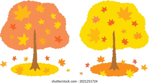 Maple tree which changed color in autumn
