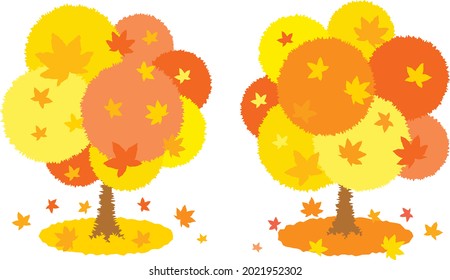 Maple tree which changed color in autumn