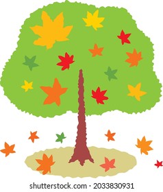 Maple tree which changed color in autumn