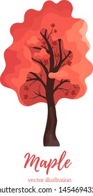 Maple tree.Colorful autumn tree flat illustration.Cartoon red orange fall maple icon with fall season gold leaves for city park and forest landscape.Fantasy color leaves source.Stock vector
