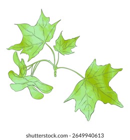 Trecho de bordo - ilustração vetorial desenhada à mão.