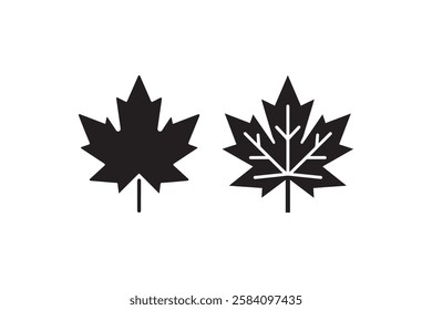 maple vector silhouette isolated in white background