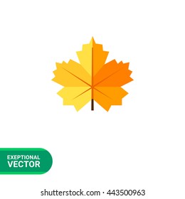 Maple yellow leaf