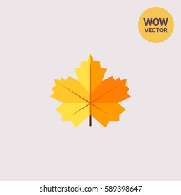Maple yellow leaf