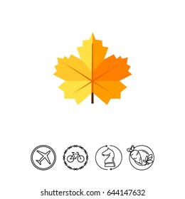 Maple yellow leaf