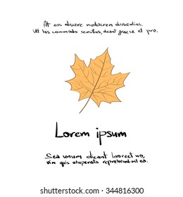 Maple Yellow Leaf Hand Draw Color Icon Vector Illustration