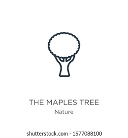 The maples tree icon. Thin linear the maples tree outline icon isolated on white background from nature collection. Line vector sign, symbol for web and mobile