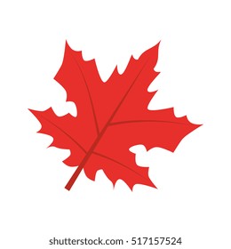 Mapple Leaf Isolated Icon