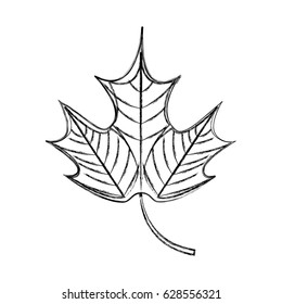 Mapple Leaf Isolated Icon