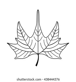 mapple plant leaves isolated icon design