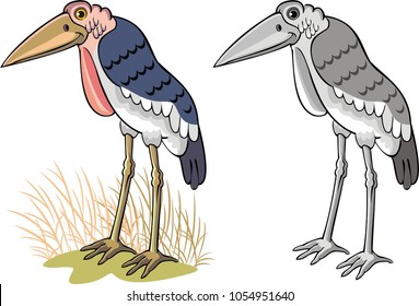 marabou, african stork, predator bird