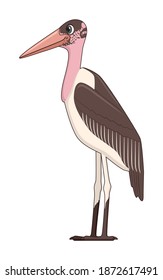 Marabou Stork Vogel auf weißem Hintergrund. Cartoon-Stil, Vektorgrafik