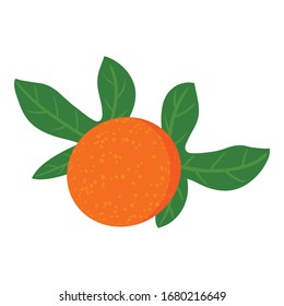 Maracuja fruit icon. Isometric of maracuja fruit vector icon for web design isolated on white background