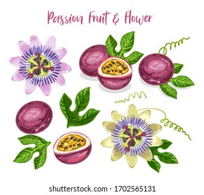 Passionsfrucht und Passionsblume. Tropische Früchte, exotische Pflanzen. Blume und Blatt der Passiflora einzeln auf weißem Hintergrund. Vektorillustration