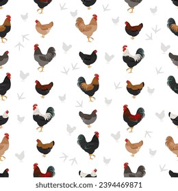 Marans Chicken breeds seamless pattern. Poultry and farm animals. Different colors set.  Vector illustration