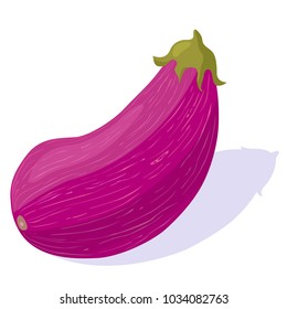 marble eggplant with shadow. Isolated image on white background. Vector