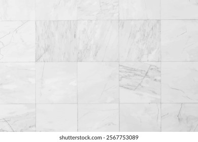 Marble Floor Tiles texture background