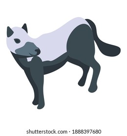 Marble fox icon. Isometric of marble fox vector icon for web design isolated on white background