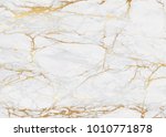 Marble with golden texture background vector illustration