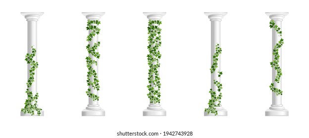 Marble greek columns with green ivy creeper isolated on white background. Stone pillars with climbing hedera vine. Realistic 3d vector illustration of crept plants on roman architecture design element