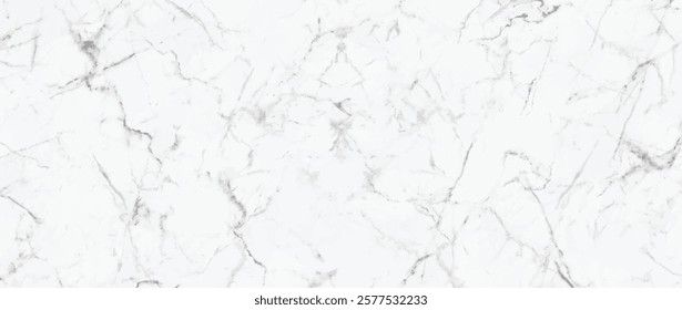 Marble, illustration, vector marble with high quality and high resolution