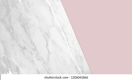 Marble with luxury texture background ฺฺBrand colors through palette vector illustration