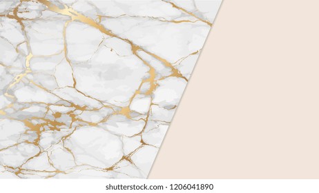 Marble with luxury texture background ฺฺBrand colors through palette vector illustration