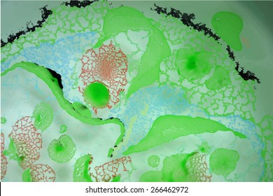 Marble technique - Abstract green red painting background - Old marbled paper technique texture. Handmade marbleized effect with acrylic paints - vector
