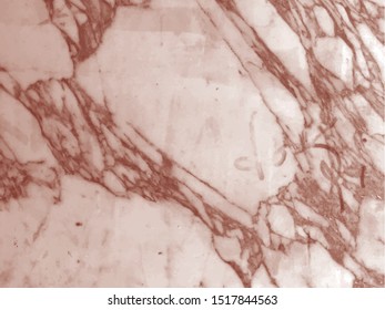 marble texture background vector abstract