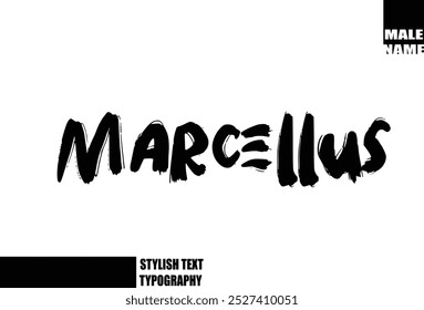 Marcellus Bold Grunge und rauer Pinsel Text Typografie von Baby Boy Name 