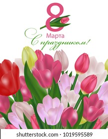 March 8 International Women's Day greeting card template with flowers. Background with tulips and the text in Russian with the holiday on March 8. Vector Illustration.