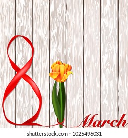 March 8. International Women's Day. Congratulations on Women's Day. fresh spring tulip and red ribbon eight on a white background.