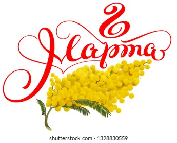 March 8 type translated from Russian. Yellow acacia flower symbol of womens day. Isolated on white vector illustration greeting card