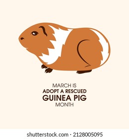 March is Adopt a Rescued Guinea Pig Month vector. Cute guinea pig with two colors icon vector. Favorite pet icon
