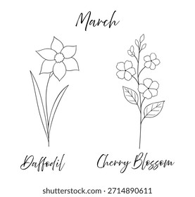 March birth flowers daffodil and cherry blossom, line art vector illustrations set, black and white botanical illustration, elegant floral sketch, hand drawn monochrome flower design, tattoo style