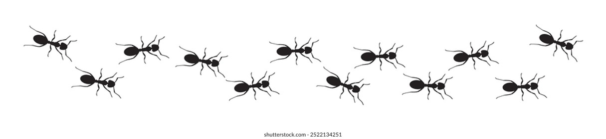 desenho de vetor branco preto formigas marchando ilustração