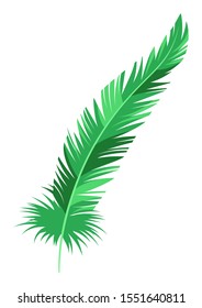 Mardi Gras carnival green feather. Illustration for traditional holiday or festival.