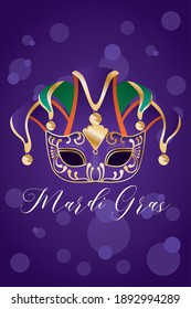 Mardi gras harlequin hat with mask design, Party carnival decoration celebration and festival theme Vector illustration