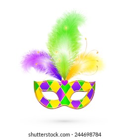 Mardi Gras traditional colors vector mask