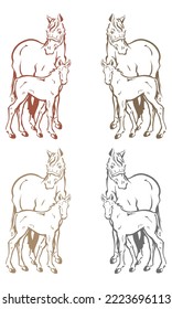 Mare And Foal Horse Vector Illustration
