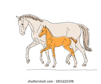 Mare and foal move together forward