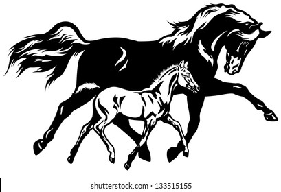 Mare With Foal,black And White Side View Vector Illustration