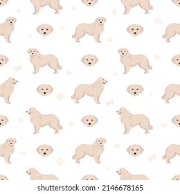 Maremma sheepdog seamless pattern. Different poses, coat colors set.  Vector illustration
